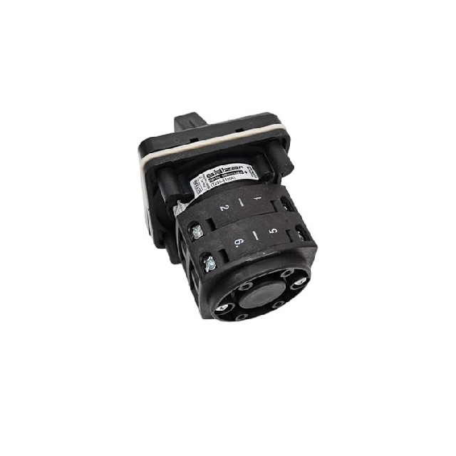 SALZER 凸轮开关 T225-61004A013M1